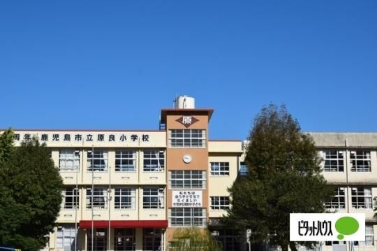 【周辺】　鹿児島市立原良小学校：175m